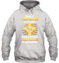 Hoodie — Ash Grey