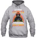 Hoodie — Sport Grey