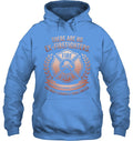 Hoodie — Carolina Blue