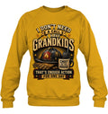 Sweatshirt — Gold
